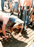Photos by Mark Hilditch - Shellback Initiation